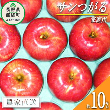 りんご サンつがる 家庭用 10kg ヤマウラ農園 沖縄県への配送不可 令和6年度収穫分 長野県 飯綱町 〔 信州 果物 フルーツ リンゴ 林檎 長野 予約 農家直送 〕発送時期：2024年9月上旬～2024年9月中旬 {**}