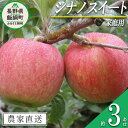 【ふるさと納税】 りんご シナノスイート 家庭用 3kg ヤマウラ農園 沖縄県への配送不可 令和6年度収穫分 長野県 飯綱町 〔 信州 果物 ..