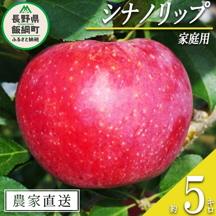 りんご シナノリップ 家庭用 5kg ヤマウラ農園 沖縄県への配送不可 令和6年度収穫分 長野県 飯綱町 〔 信州 果物 フルーツ リンゴ 林檎 長野 16000円 予約 農家直送 〕発送時期:2024年8月中旬〜2024年8月下旬 {**}