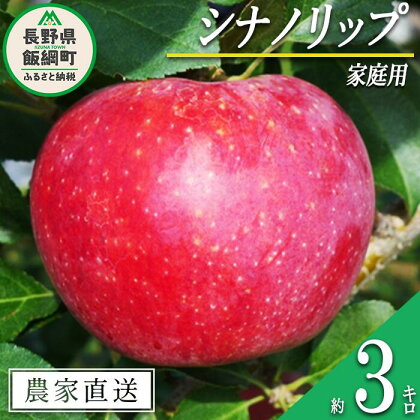 りんご シナノリップ 家庭用 3kg ヤマウラ農園 沖縄県への配送不可 令和6年度収穫分 長野県 飯綱町 〔 信州 果物 フルーツ リンゴ 林檎 長野 13000円 予約 農家直送 〕発送時期：2024年8月中旬～2024年8月下旬 {**}