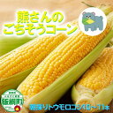 25位! 口コミ数「2件」評価「5」 朝採り トウモロコシ 熊さんのごちそうコーン 10本 ～ 11本 品種はおまかせ Winery Dream 配送は本州限定 令和6年度収穫･･･ 