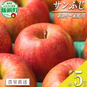 【ふるさと納税】 りんご サンふじ 家庭用・訳あり 5kg エバラ農園 沖縄県への配送不可 令和7年度収穫分 長野県 飯綱町 〔 信州 果物 フルーツ リンゴ ...