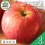 【ふるさと納税】 りんご サンつがる 秀 ～ 特秀 3kg マルハ農園 沖縄県への配送不可 令和6年度収穫分 エコファーマー認定 長野県 飯綱町 〔 信州 果物 フルーツ リンゴ 林檎 長野 12000円 予約 農家直送 〕発送時期：2024年9月上旬～2024年9月中旬