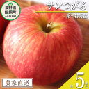  りんご サンつがる 秀 ～ 特秀 5kg マルハ農園 沖縄県への配送不可 令和6年度収穫分 エコファーマー認定 長野県 飯綱町 〔 信州 果物 フルーツ リンゴ 林檎 長野 18000円 予約 農家直送 〕発送時期：2024年9月上旬～2024年9月中旬