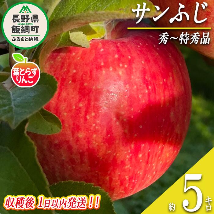  りんご 葉とらず サンふじ 秀 ～ 特秀 5kg 採れたてを発送 フレッシュフルーツミカズキ 令和6年度収穫分 長野県 飯綱町 〔 信州 果物 フルーツ リンゴ 長野 予約 農家直送 〕発送時期：2024年11月中旬～2024年11月下旬 {***}