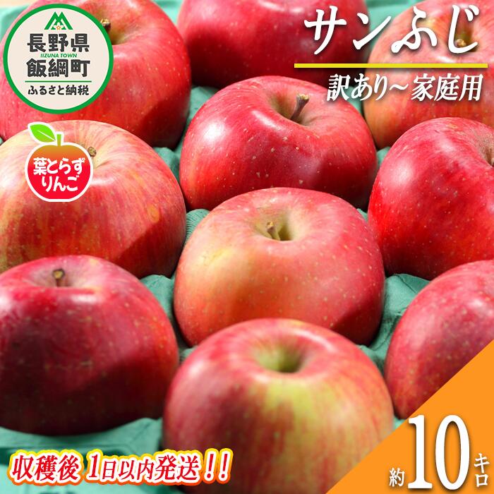 【ふるさと納税】 りんご 葉とらず サンふじ 訳あり~家庭用 10kg 採れたてを発送 フレッシュフルーツミカズキ 令和7年収穫 長野県 飯綱町 〔 傷 不揃い リンゴ 果物 フルーツ 信州 長野 予約 農家直送 〕発送時期:2025年11月中旬頃〜2025年11月下旬頃 {*}