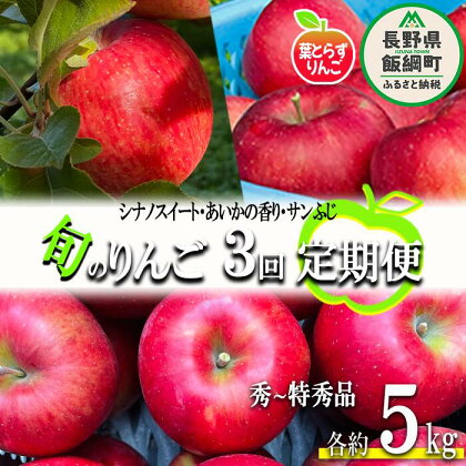 旬の葉とらずりんご 【 定期便 】 秀 ～ 特秀 5kg × 3回 フレッシュフルーツミカズキ 沖縄県配送不可 令和6年度収穫分 長野県 飯綱町 〔 信州 果物 フルーツ リンゴ 林檎 長野 予約 農家直送 〕発送期間：2024年10月中旬～2024年12月下旬 {***}