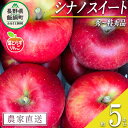 【ふるさと納税】 りんご 葉とらず シナノスイート 秀 ~ 特秀 5kg フレッシュフルーツミカズキ 令和7年度収穫分 長野県 飯綱町 〔 信州 果物 フルーツ リンゴ 林檎 長野 予約 農家直送 〕発送時期:2025年10月中旬頃~2025年10月下旬頃 {***}