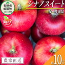 26位! 口コミ数「0件」評価「0」 りんご 葉とらず シナノスイート 秀 ～ 特秀 10kg フレッシュフルーツミカズキ 令和6年度収穫分 長野県 飯綱町 〔 信州 果物 フ･･･ 