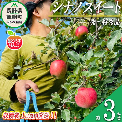 【ふるさと納税】 りんご 葉とらず シナノスイート 秀 〜 特秀 3kg 採れたてを発送 フレッシュフルーツミカズキ 令和7年度収穫分 長野県 飯綱町 〔 信州 果物 フルーツ リンゴ 長野 予約 農家直送 〕発送時期:2025年10月中旬頃〜2025年10月下旬頃 {***} 【ふるさと納税】 りんご 葉とらず シナノスイート 秀 〜 特秀 3kg 採れたてを発送 フレッシュフルーツミカズキ 令和7年度収穫分 長野県 飯綱町 〔 信州 果物 フルーツ リンゴ 長野 予約 農家直送 〕発送時期:2025年10月中旬頃〜2025年10月下旬頃 {***}