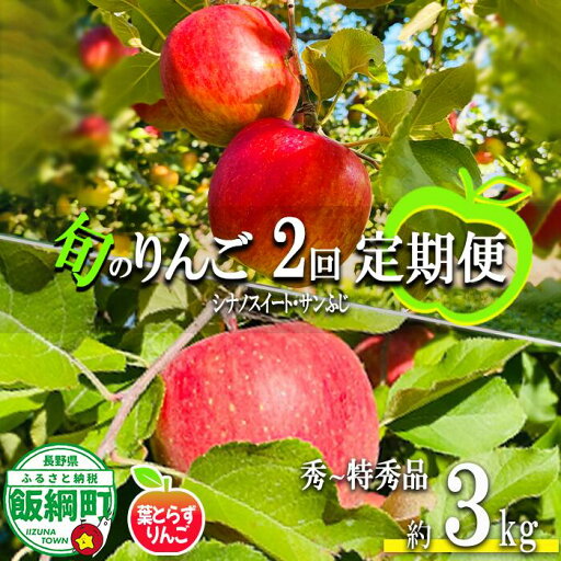 【ふるさと納税】 季節のりんご 【 定期便 】 旬の2品種 3kg × 2回 秀〜特秀 フレッシュフルーツ ミカヅキ 沖縄県への配送不可 〔 果物 フルーツ 林檎 長野 予約 農家直送 贈答用 3キロ 定期便 〕【令和7年度収穫分】 発送:2025年10月中旬〜 【ふるさと納税】 季節のりんご 【 定期便 】 旬の2品種 3kg × 2回 秀〜特秀 フレッシュフルーツ ミカヅキ 沖縄県への配送不可 〔 果物 フルーツ 林檎 長野 予約 農家直送 贈答用 3キロ 定期便 〕【令和7年度収穫分】 発送:2025年10月中旬〜