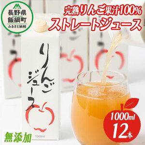 【ふるさと納税】 りんごジュース 1000ml × 12本 無添加 酸化防止剤不使用 果汁100% 紙パック アグリファーム小林 信州の環境にやさしい農産物認証 長野県 飯綱町 〔 飲料 果汁飲料 りんご リンゴ ジュース 信州 農家直送 〕発送時期:お申込み順に発送予定