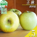 【ふるさと納税】 りんご 王林 5kg 訳あり アグリファーム小林 沖縄県への配送不可 〔 果物 フルーツ 林檎 長野 予約 農家直送 不揃い 規格外 5キロ 13000円 〕【令和7年度収穫分】 発送:2025年11月上旬~