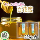 【ふるさと納税】 天然 ハチミツ 百花蜜 225g × 2個 相澤農園 無添加 非加熱 沖縄県への配送不可 長野県 飯綱町 〔 信州 蜂蜜 はちみつ ハニー 加工食品 国産 ご当地 長野 13500円 農家直送 〕