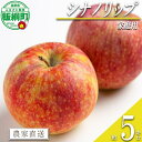 【ふるさと納税】 りんご シナノリップ 家庭用 5kg 相澤農園 沖縄県への配送不可 令和7年度収穫分 長野県 飯綱町 【 信州 果物 フルーツ リンゴ 林檎 長野】発送時期:2025年8月下旬〜2025年9月上旬(4)