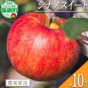 【ふるさと納税】 りんご シナノスイート 10kg 家庭用 相澤農園 〔 果物 フルーツ 林檎 長野 予約 農家直送 10キロ 23000円 〕【令和7年度収穫分】 発送:2025年10月中旬〜(4)