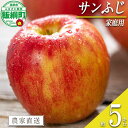 【ふるさと納税】 りんご サンふじ 5kg 家庭用 相澤農園 沖縄県への配送不可 〔 果物 フルーツ 林檎 長野 予約 農家直送 5キロ 15000円 〕【令和7年度収穫分】 発送:2025年11月中旬〜(4)