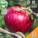 【ふるさと納税】 りんご 秋映 家庭用 10kg 相澤農園 令和7年度収穫分 長野県 飯綱町 【 信州 果物 フルーツ リンゴ 林檎 長野】発送時期:2025年9月下旬~2025年10月上旬