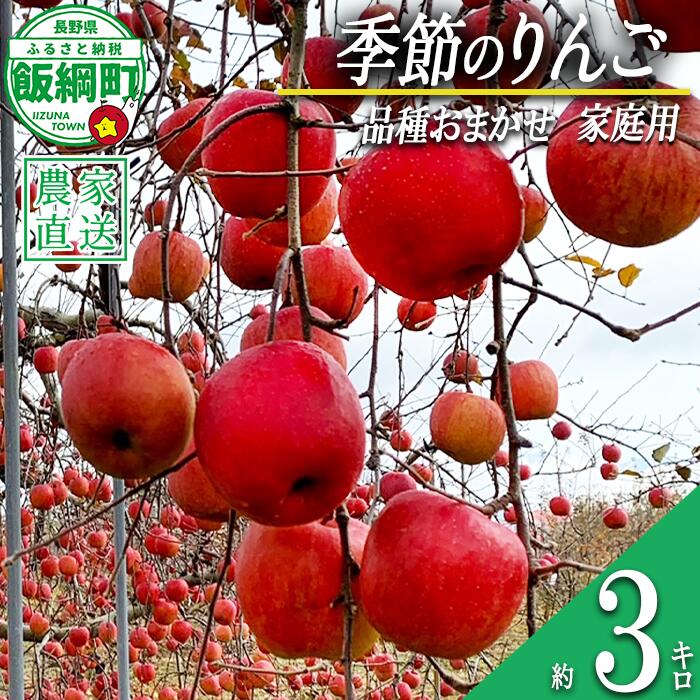 【ふるさと納税】 りんご 季節のりんご 3kg 家庭用 Farm Grand Gift 沖縄県への配送不可 〔 果物 フルーツ 林檎 長野 予約 農家直送 3キロ 12000円 〕【令和7年度収穫分】 発送:2025年9月下旬〜