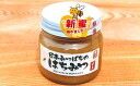 【ふるさと納税】 飯綱町産日本みつばちの「はちみつ」 100...