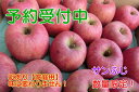 【ふるさと納税】サンふじりんご 家庭用10kg(サイズおまか...