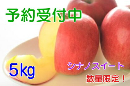 【予約販売】飯綱のりんご シナノスイート 約5kg お届け9月中旬〜【果物類・フルーツ・りんご】