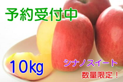 【予約販売】飯綱のりんご シナノスイート 約10kg お届け9月中旬〜【果物類・フルーツ・りんご】
