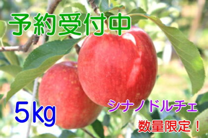 【予約販売】飯綱のりんご シナノドルチェ 約5kg お届け9月中旬〜【果物類・フルーツ・りんご】