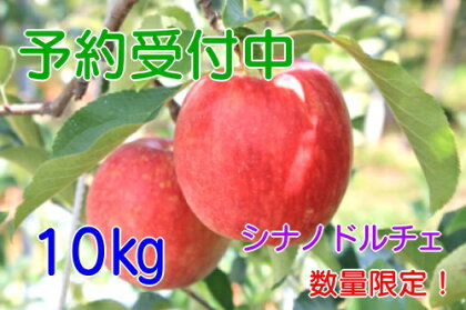 【予約販売】飯綱のりんご シナノドルチェ 約10kg お届け9月中旬〜【果物類・フルーツ・りんご】