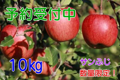 【予約販売】飯綱のりんご サンふじ 約10kg お届け11月初旬〜【果物類・フルーツ・りんご】