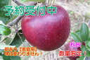 【ふるさと納税】【先行予約】秋映りんご 家庭用10kg(サイ...