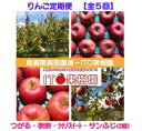 【ふるさと納税】【先行予約】季節の旬なりんご4種類《定期便》...