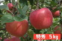 【ふるさと納税】長野県 飯綱町 完熟蜜入り サンふじ りんご...