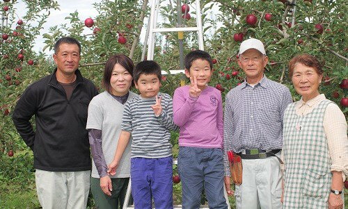 【ふるさと納税】干しりんご ( 完熟 サンふじ ) 30g×7袋 沖縄県への配送不可 静谷りんご園 減農薬栽培 ドライフルーツ 信州の環境にやさしい農産物認証 〔 果物 ドライフルーツ サンふじ 蜜入り リンゴ 信州 長野 飯綱町 13000円 予約 農家直送 〕