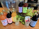 【ふるさと納税】 サンクゼール オールフルーツ 『 飲む お