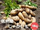 【ふるさと納税】【先行予約】 信州産 じゃがいも 10kg ...