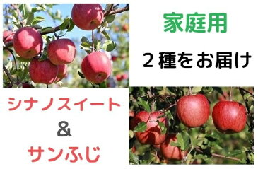 【ふるさと納税】【先行予約】 神谷農園 の りんご シナノスイート ＆ サンふじ 2便 【 家庭用 】 各 5kg 訳あり 長野県 飯綱町 飯綱町産 【 リンゴ 林檎 果物類 フルーツ 信州 】お届け：2020年10月上旬〜