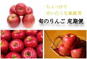 【ふるさと納税】【先行予約】 おすすめ りんご 3種 【 定...