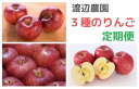 【ふるさと納税】【先行予約】 渡辺農園 りんご の 定期便 ...