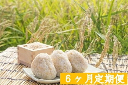 【先行予約】 皇室献上実績米 コシヒカリ 長野県 飯綱町 の 黒川米 【 玄米 】 特A こしひかり 5kg お米 米 信州 【 6カ月 定期便 5kg×6回 】(令和2年産)「宮古島の雪塩」使用 特別栽培米 お届け:2020年11月上旬〜