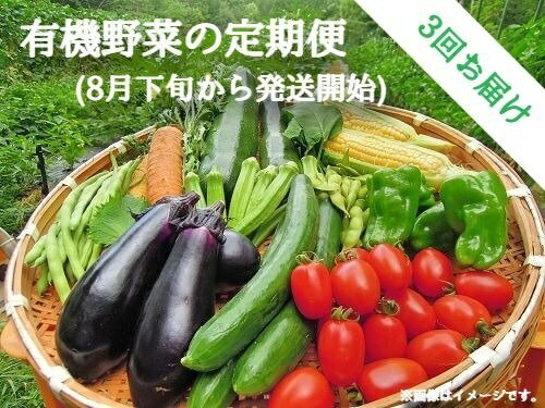 【ふるさと納税】[ 先行予約 ] 有機JAS認証 信州高原 採れたて 有機野菜の定期便 （8月下旬から3回お届け） ※配送先は本州限定 【 80または100サイズ段ボール1箱分 × 3回 】 くらじか自然豊農 長野県 飯綱町 【 有機 野菜 セット 定期便 信州 長野 】発送：2021年8月下旬〜のサムネイル