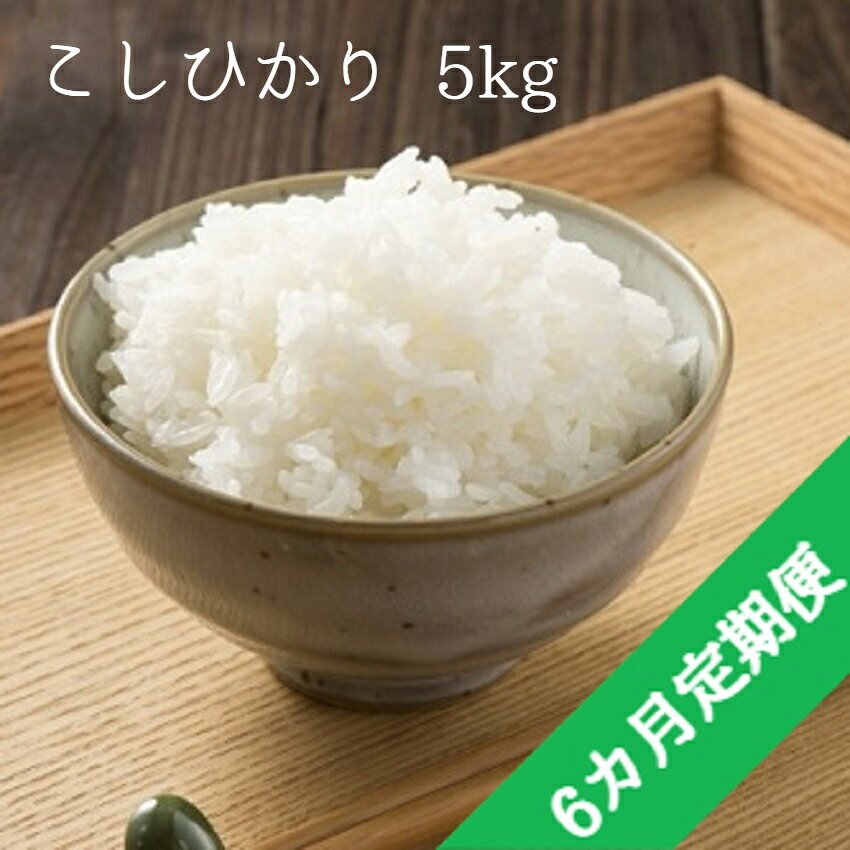こしひかり 5kg × 6回 【 6ヶ月 定期便 】 令和3年産 エコファーマー認定 小山ファーム 長野県 【 米 お米 精米 白米 信州 】発送：2021年11月上旬〜 [お届け6回 (**)]