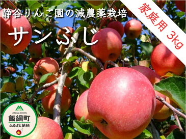 【ふるさと納税】【令和4年度収穫分】 サンふじ 家庭用 3kg ※沖縄および離島への配送不可 信州の環境にやさしい農産物認証 減農薬栽培 静谷りんご園 【 果物 フルーツ 信州 りんご リンゴ 林檎 長野 】 発送：2022年12月中旬〜 {**}