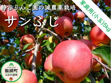 【ふるさと納税】【令和4年度収穫分】 サンふじ 〈 小玉 〉 家庭用 5kg ※沖縄および離島への配送不可 信州の環境にやさしい農産物 減農薬栽培 静谷りんご園 【 果物 フルーツ 信州 りんご リンゴ 林檎 長野 】 発送：2023年1月上旬〜 {**}