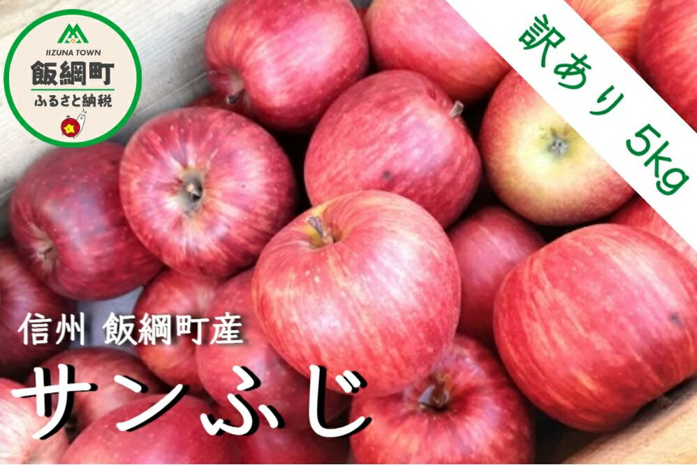 【ふるさと納税】【令和4年度収穫分】 サンふじ 訳あり 5kg ※沖縄および離島への配送不可 永野農園 長野県 信州 【 傷 不揃い りんご リンゴ 林檎 果物 フルーツ 信州 長野 】 発送：2022年12月上旬〜 {*}