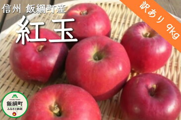 【ふるさと納税】【令和4年度収穫分】 紅玉 訳あり 9kg 松澤農園 長野県 飯綱町 【 傷 不揃い りんご リンゴ 林檎 果物 フルーツ 信州 長野 】 発送：2022年9月下旬〜 {*}