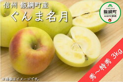 【ふるさと納税】 ぐんま名月 秀 〜 特秀 3kg 丸山りんご園 長野県 飯綱町 【 長野 信州 リンゴ りんご 林檎 果物 フルーツ 】 【令和4年度収穫分】発送：2022年11月上旬〜 {***}･･･ 画像1