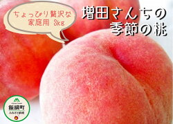 【ふるさと納税】【令和4年度収穫分】 増田さんちの季節の桃 ちょっぴり贅沢な家庭用 【 約 3kg 】 ※配送先は本州限定 ※日時および不在指定不可 長野県 飯綱町 【 果物 フルーツ 桃 もも モモ 家庭用 信州 】 発送：2022年8月上旬〜･･･ 画像1