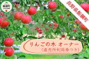 【ふるさと納税】【令和4年度収穫分】 りんごの木オーナー ＜ サンふじの木 ＞ 家庭用 ～ 特秀 約 40kg 直売所利用券つき 長野県 飯綱町 【 りんごの木 オーナー 収穫 体験 林檎 リンゴ りんご 信州 長野 】 収穫期間：2022年11月中旬〜2022年12月初旬