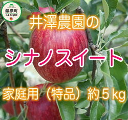 【ふるさと納税】【令和4年度収穫分】 シナノスイート 家庭用 5kg サイズおまかせ 井澤農園 エコファーマー 認定 減農薬栽培 化学肥料不使用 長野県 飯綱町 川上大窪谷 【 果物 フルーツ りんご 林檎 リンゴ 信州 】発送：2022年10月上旬〜 {**}･･･ 画像1